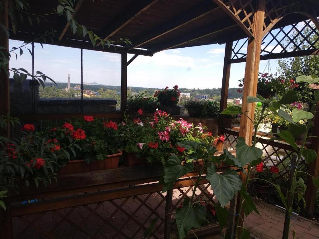 Apartmany Zatec Εξωτερικό φωτογραφία